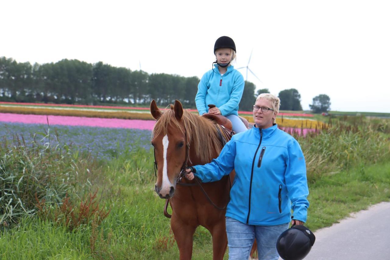 Strandhut 64 Sint-Annaland Eksteriør bilde