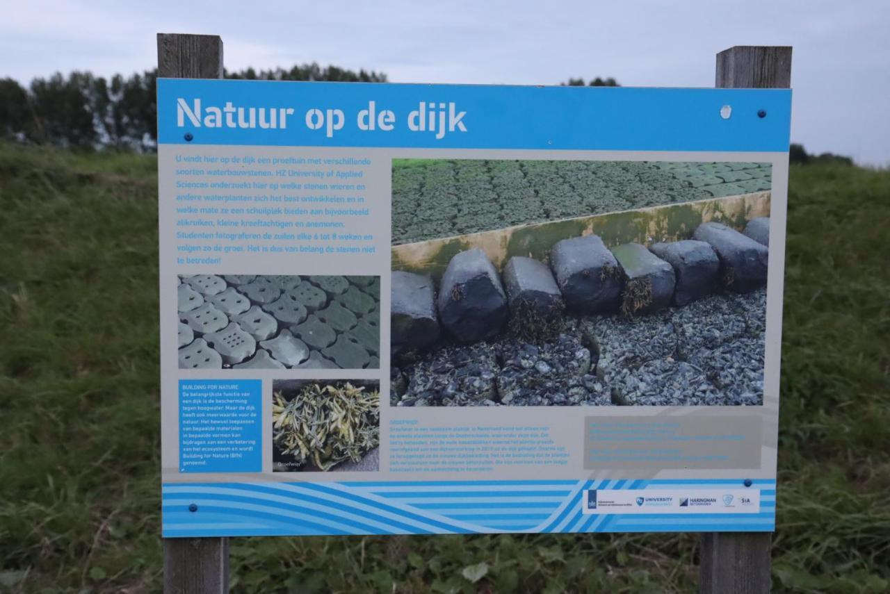 Strandhut 64 Sint-Annaland Eksteriør bilde